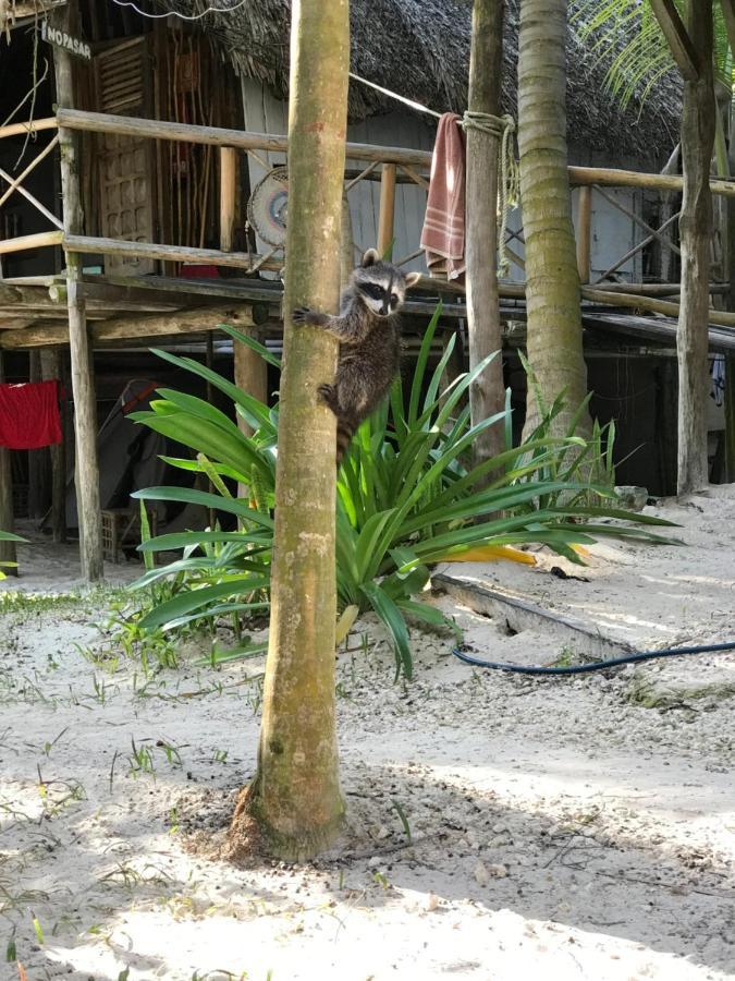 Chavez Eco Beach Camping And Cabanas ตูลุม ภายนอก รูปภาพ