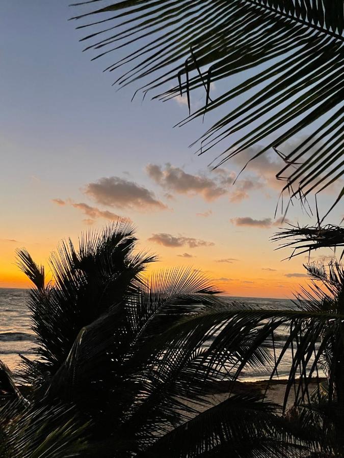 Chavez Eco Beach Camping And Cabanas ตูลุม ภายนอก รูปภาพ