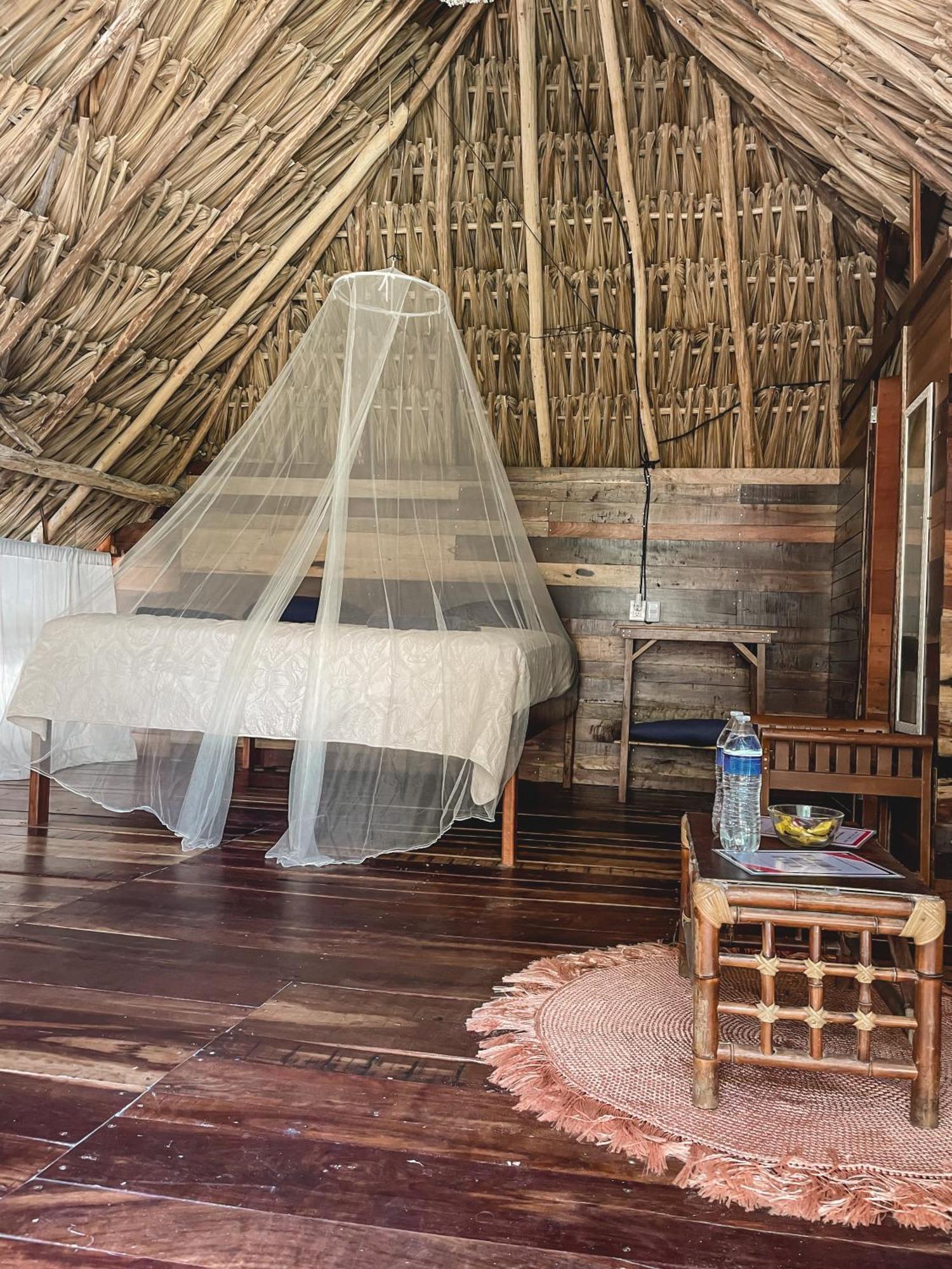 Chavez Eco Beach Camping And Cabanas ตูลุม ห้อง รูปภาพ