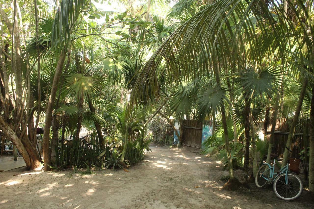 Chavez Eco Beach Camping And Cabanas ตูลุม ภายนอก รูปภาพ